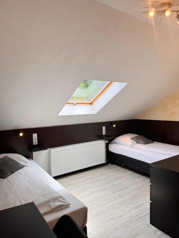 Comfort Single Room image 3