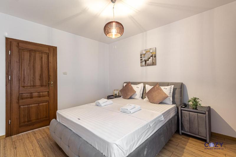 Cozy Brand New Boutique ApartHotel Brasov - image 5