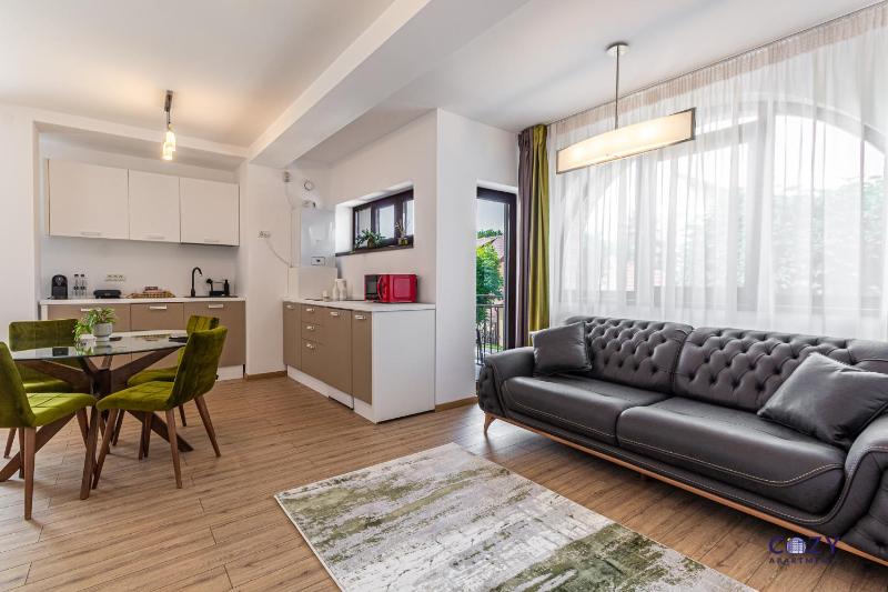 Cozy Brand New Boutique ApartHotel Brasov - image 12