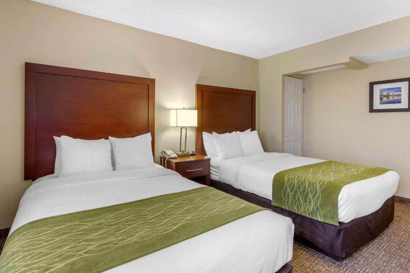 Double Room with Two Double Beds - Disability Access/Non-Smoking image 3