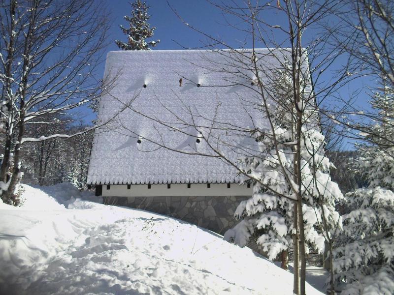 One-Bedroom House image 2