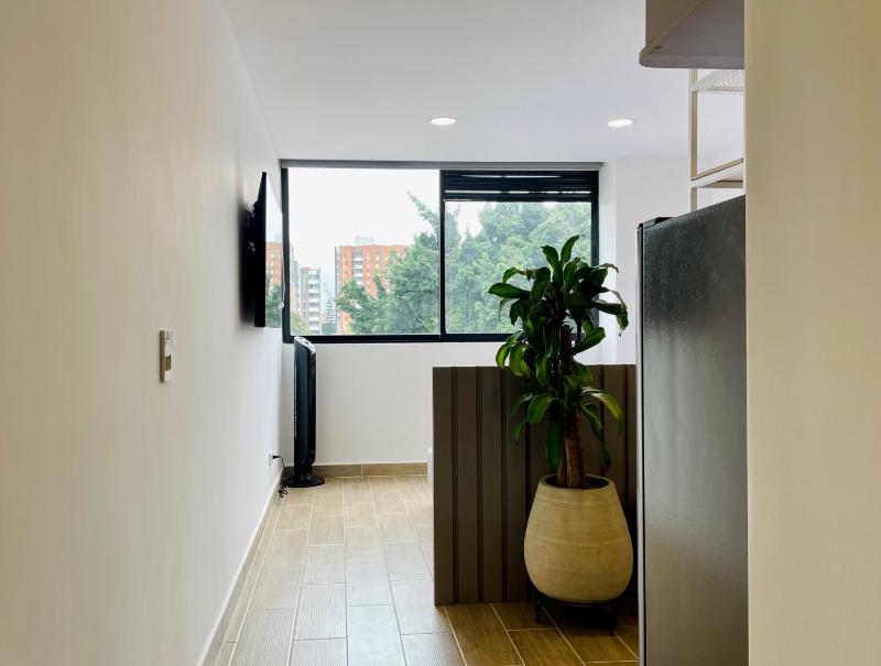 Oliving by Wynwood House - image 9