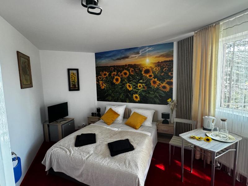 DW Butik Hotel w centrum 300m od morza - image 41