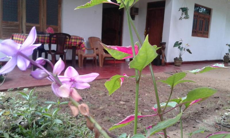 Winstar Homestay - image 9