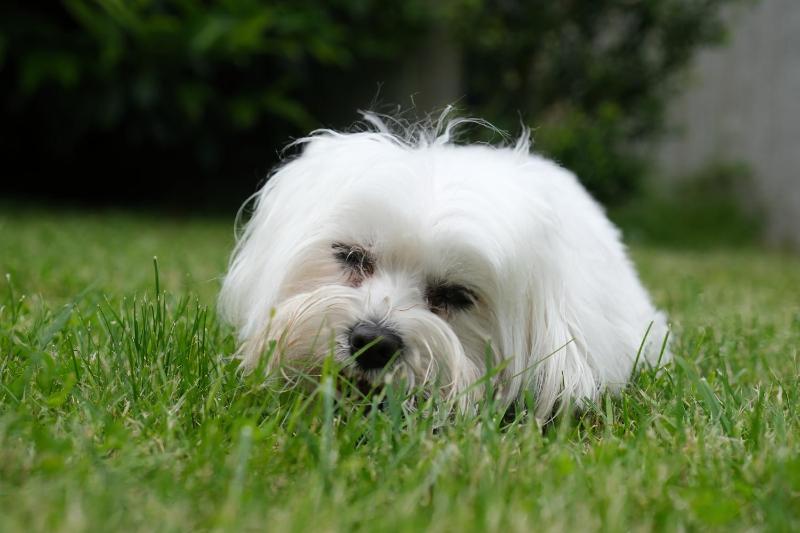 Apartment with Mountain View image 1