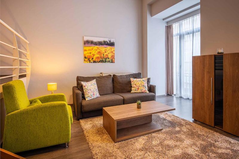One-Bedroom Apartment image 2