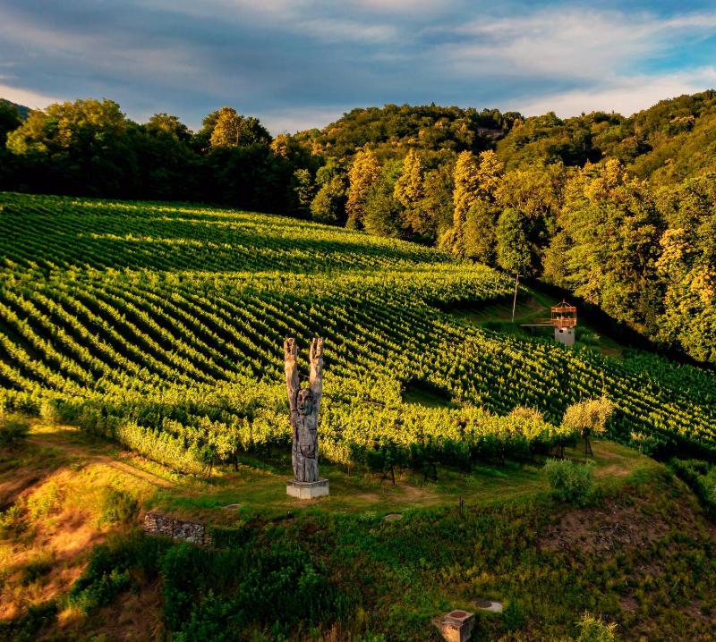 Wine & Art Relais Vallombrosa - image 28