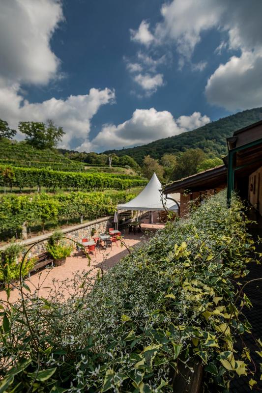 Wine & Art Relais Vallombrosa - image 23