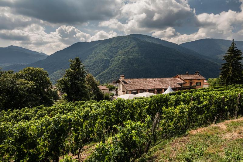 Wine & Art Relais Vallombrosa - image 18