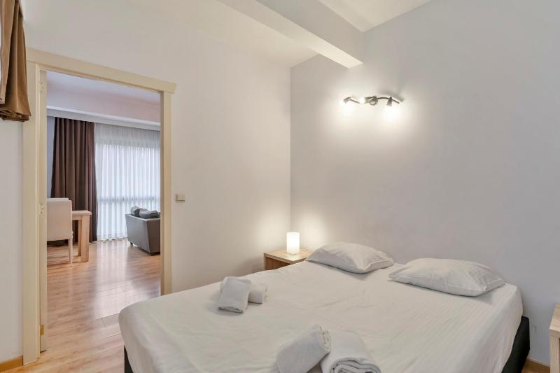 One-Bedroom Apartment image 4
