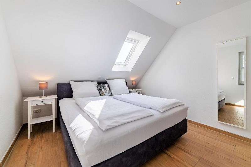 Albatros OG - image 4