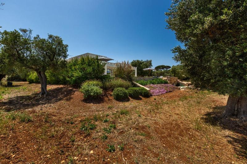 Three-Bedroom Villa image 2