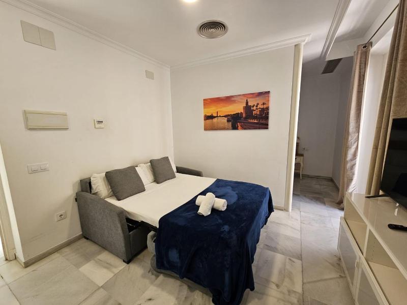 One-Bedroom Family Apartment image 4