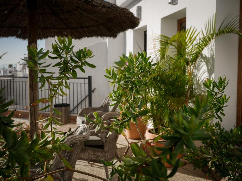 Las Palmeras del Califa - image 14