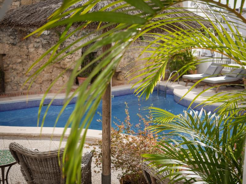 Las Palmeras del Califa - image 26