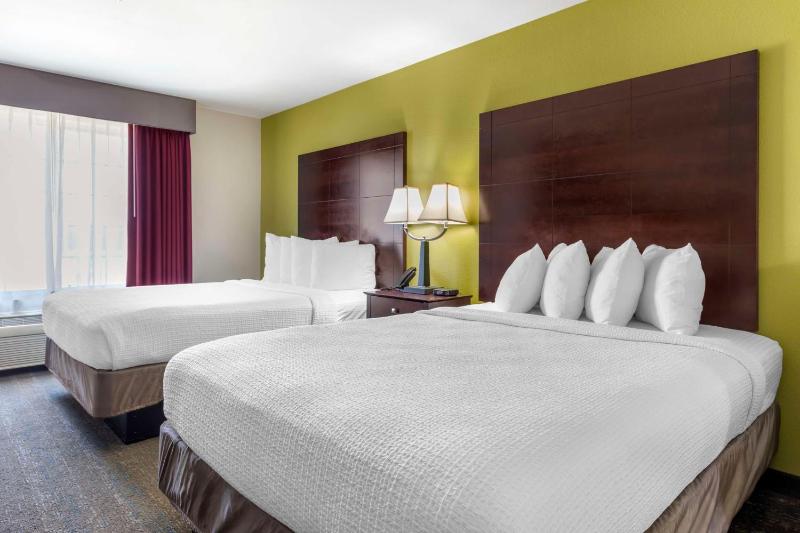 Standard Double Suite image 3