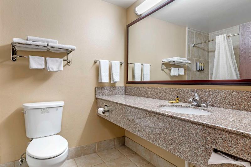 One-Bedroom King Suite with Sofa Bed - Non-Smoking image 2