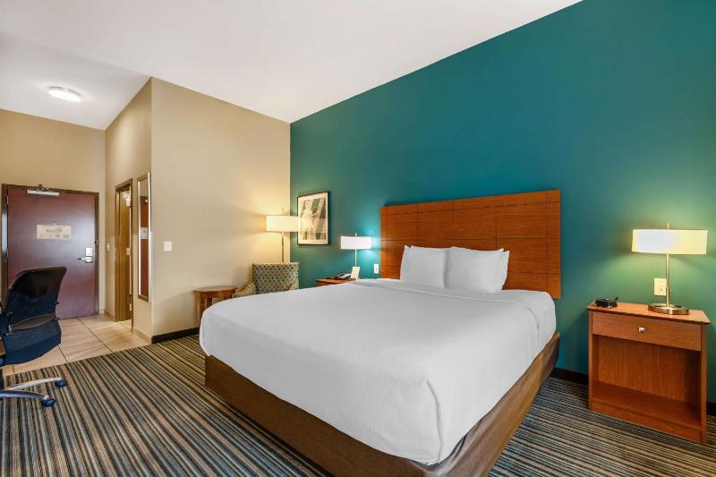 King Room - Non-Smoking image 4