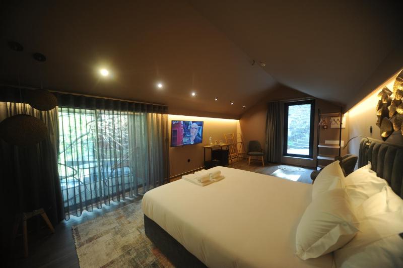 Suite with Mountain View image 2