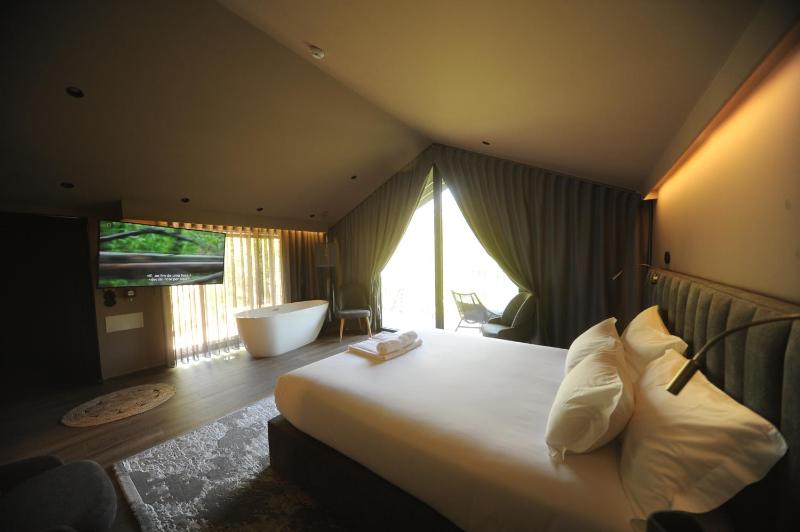 Suite with River View image 4