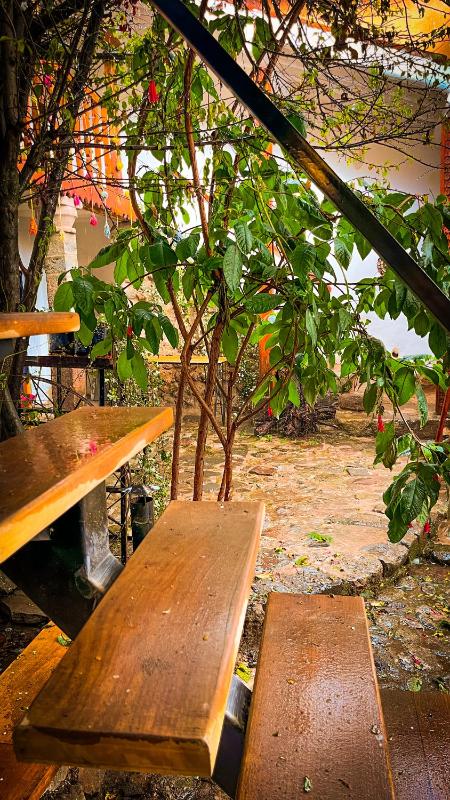 Flamenco Guest House San Blas Images