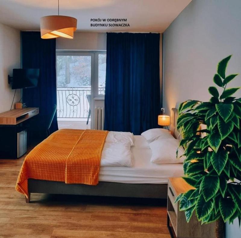 Standard Family Room image 2