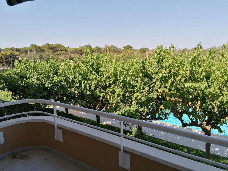 Apartamentos Dalia - image 13