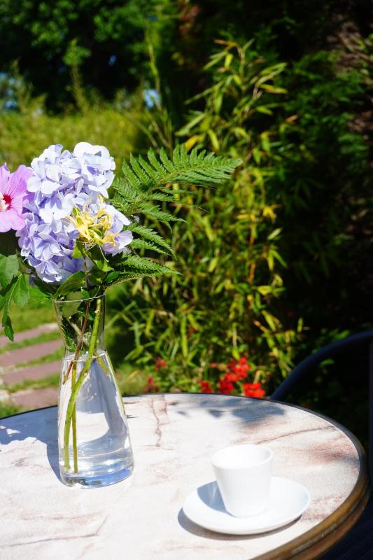 La Quintita Biarritz - studio avec jardin - image 25