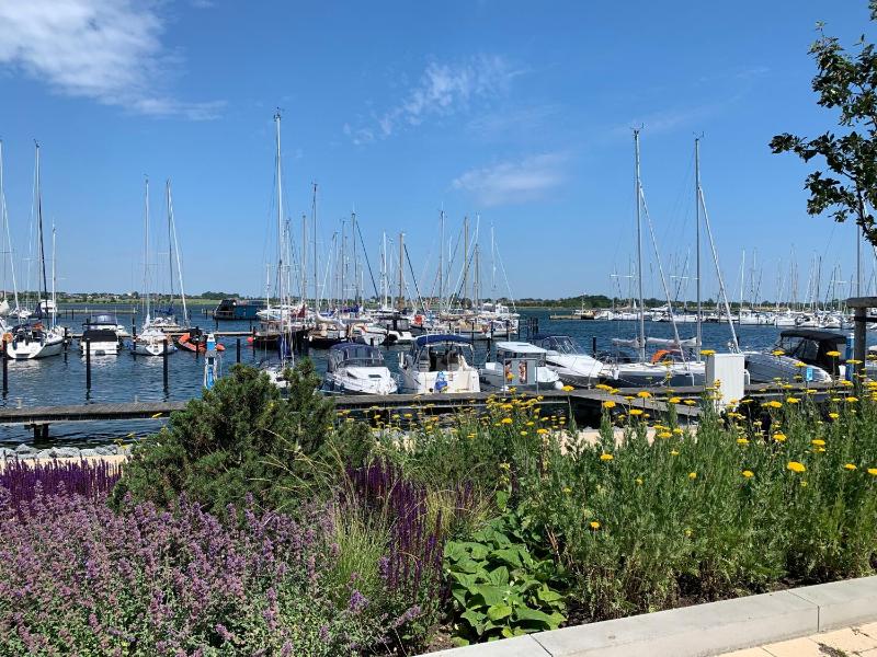 Hausboot Annis Mehrblick - image 25