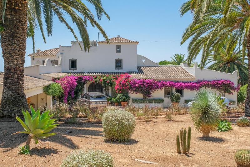 Casa das Flores - image 50