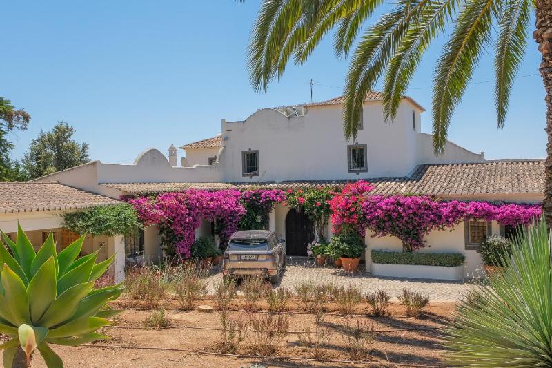 Casa das Flores - image 43