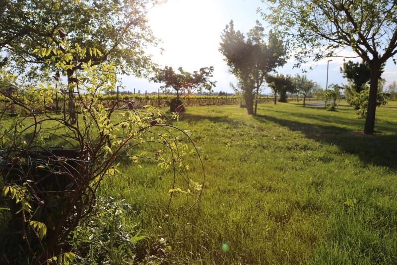 Valle di Assisi Country Apartments - image 7