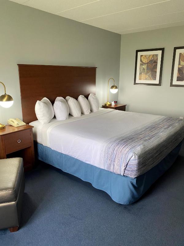 Deluxe Queen Room - Mobility Access/Non-Smoking image 4