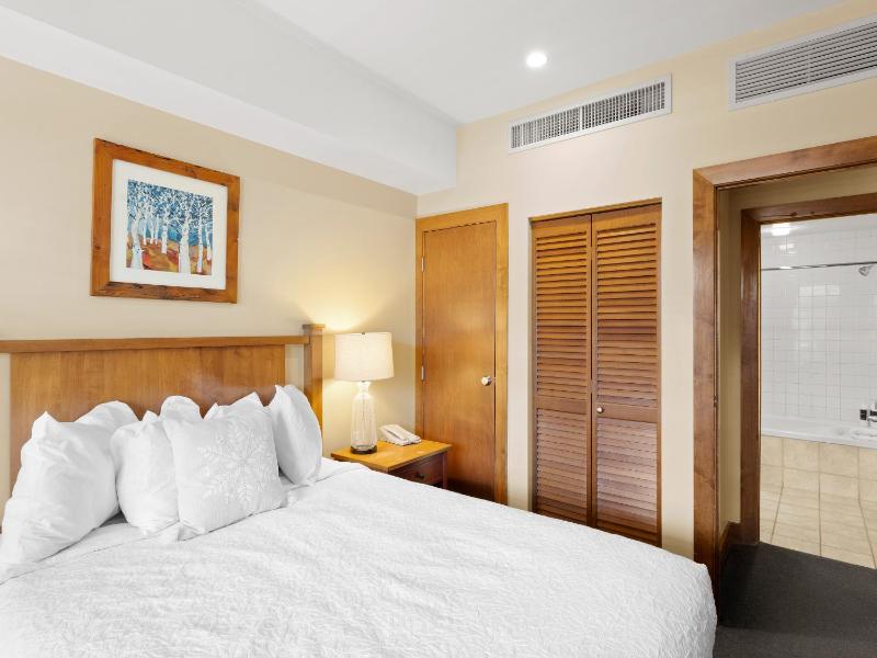One-Bedroom Premium Apartment image 3
