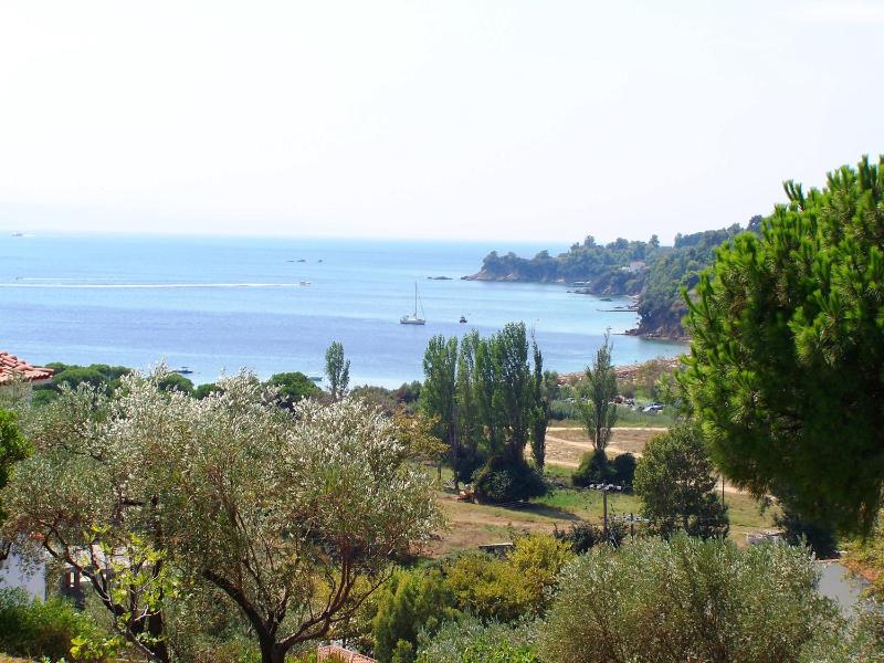 Villa Anna Maria - image 5