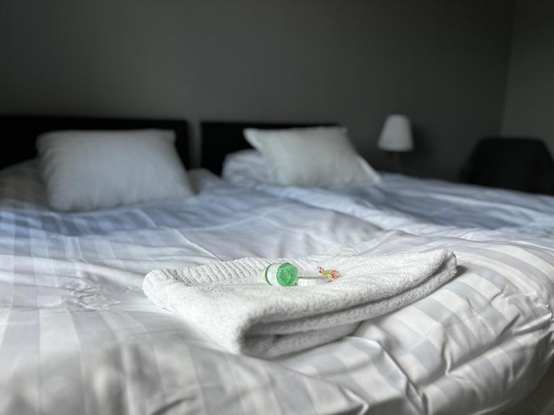 Deluxe Twin Room image 3
