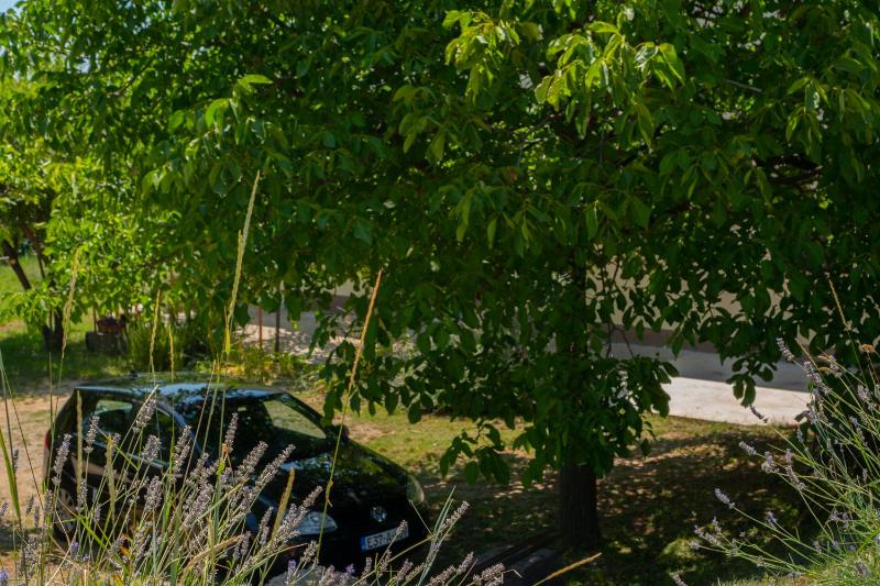 Apartman Mijanovic - image 6