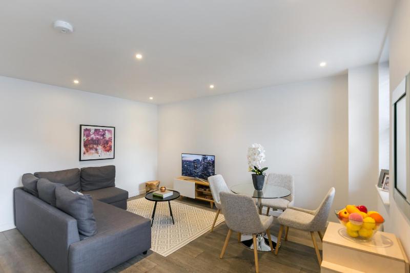 Deluxe One Bedroom Apartment with Terrace image 1