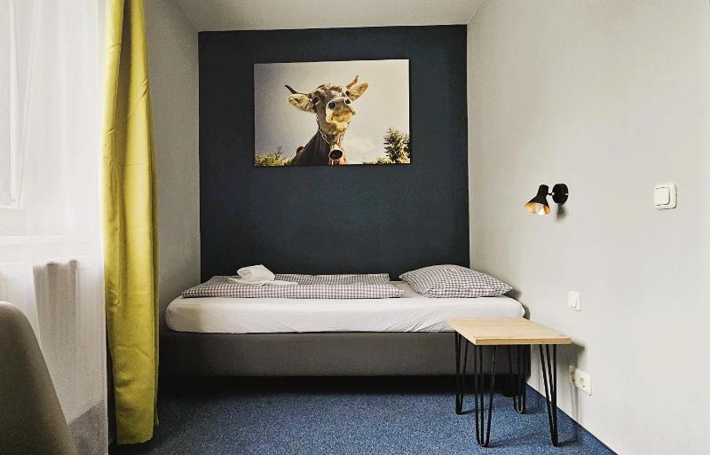 Standard Single Room image 1