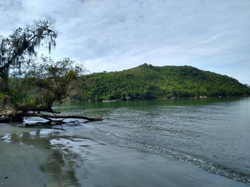 Apartamento em condomínio de frete pra praia - image 23