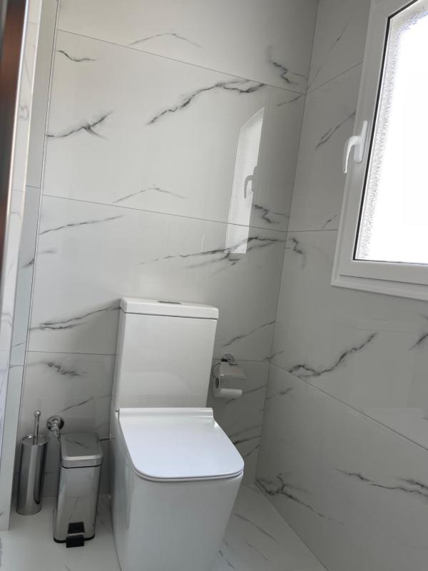 White House Dami - image 4