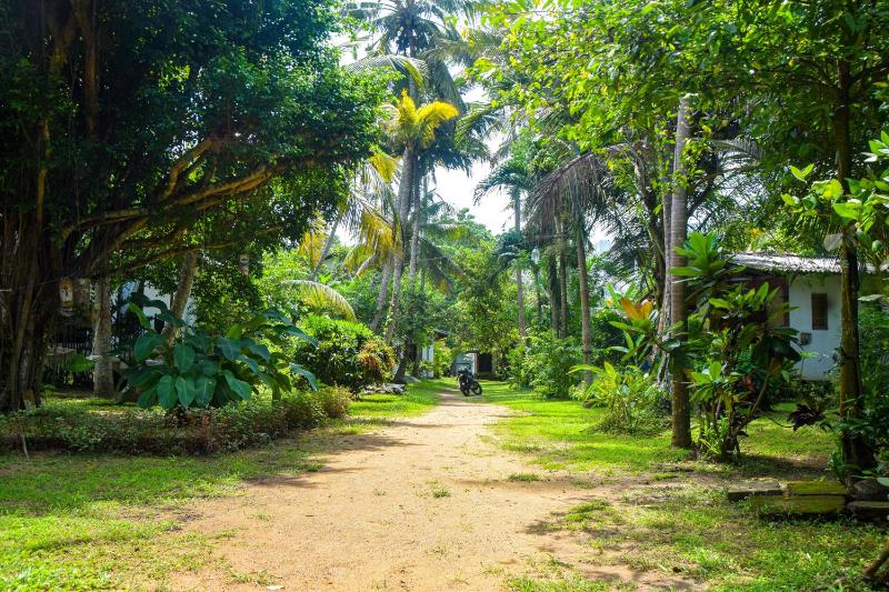 Groot - image 6