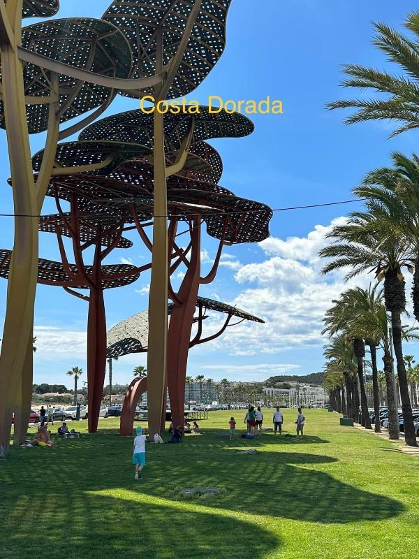 APARTBEACH GOLDEN I MUY LUMINOSO JUNTO PLAYA y CLIMATIZADO - image 28