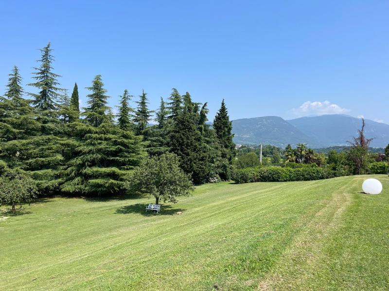 NEW Villa Tosca - image 45