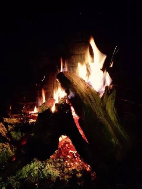 One-Bedroom Apartment image 4