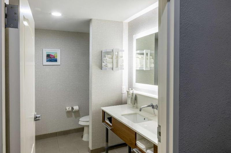 King Room with Roll-In Shower - Mobility and Hearing Access/Non-Smoking image 2