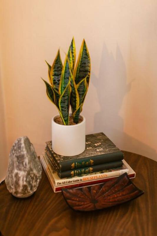 Apartment - Ground Floor image 4
