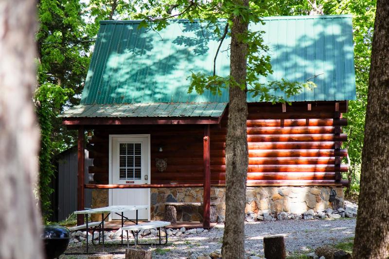 Sleepy Hollow Cabin 1 with Loft  image 1