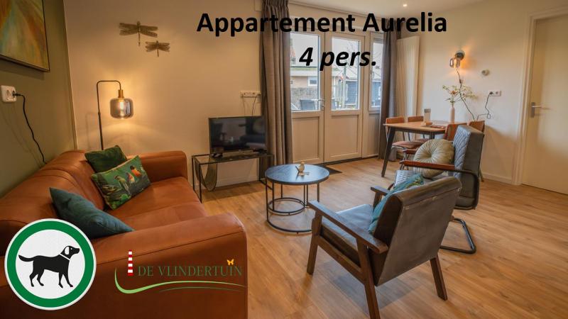 Apartment with Terrace image 3