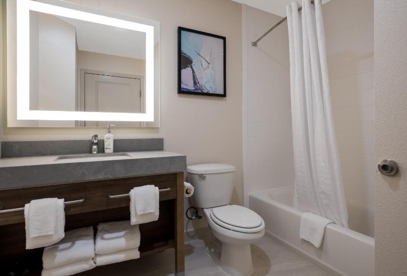 King Studio Suite image 3